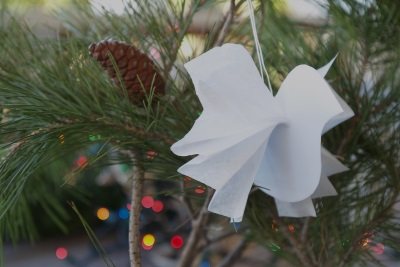 Голубь на елке