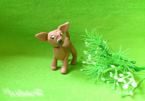 Как слепить из пластилина собаку: хаски, шпица, овчарку, чихуахуа, таксу. Мастер-классы пошагово с фото