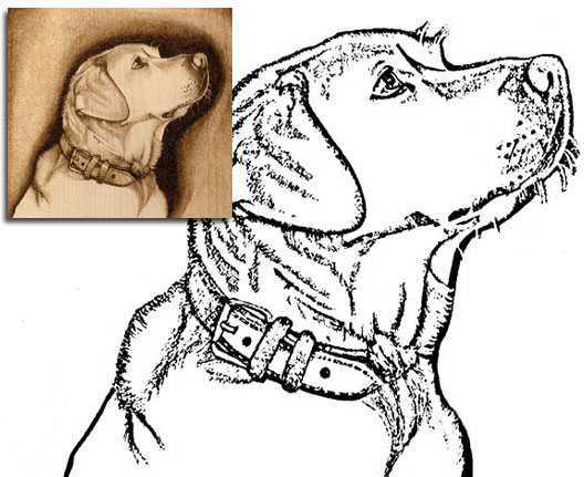 Картинки для выжигания по дереву: интересные узоры и прикольные варианты для начинающих